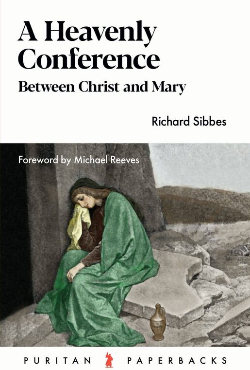 Cover of A Heavenly Conference