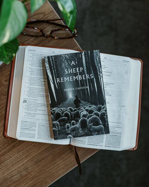A Sheep Remembers — Interior page