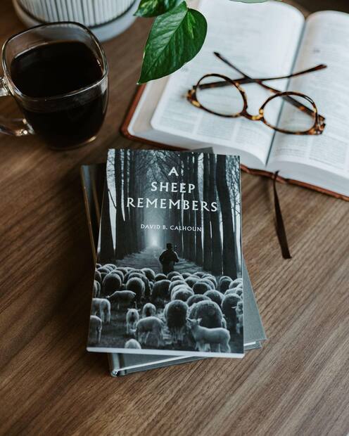 A Sheep Remembers — Interior page
