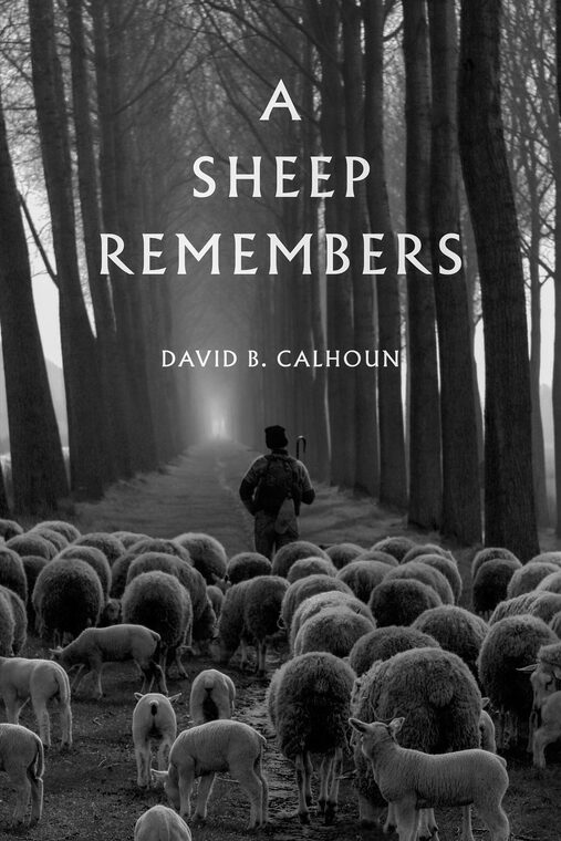 Cover of A Sheep Remembers