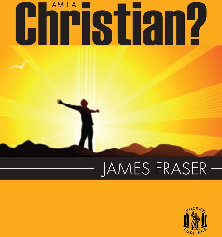 Cover of Am I A Christian?