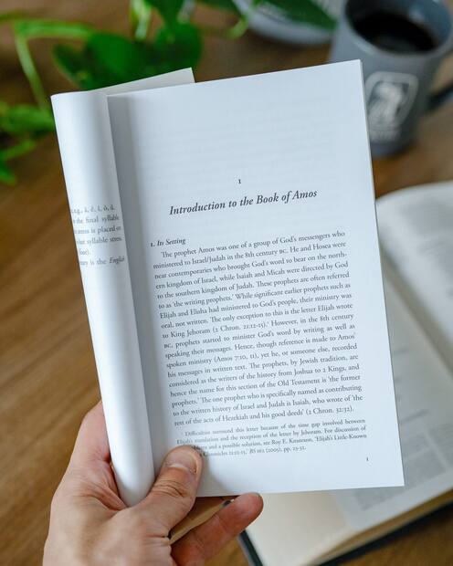 Amos — Interior page