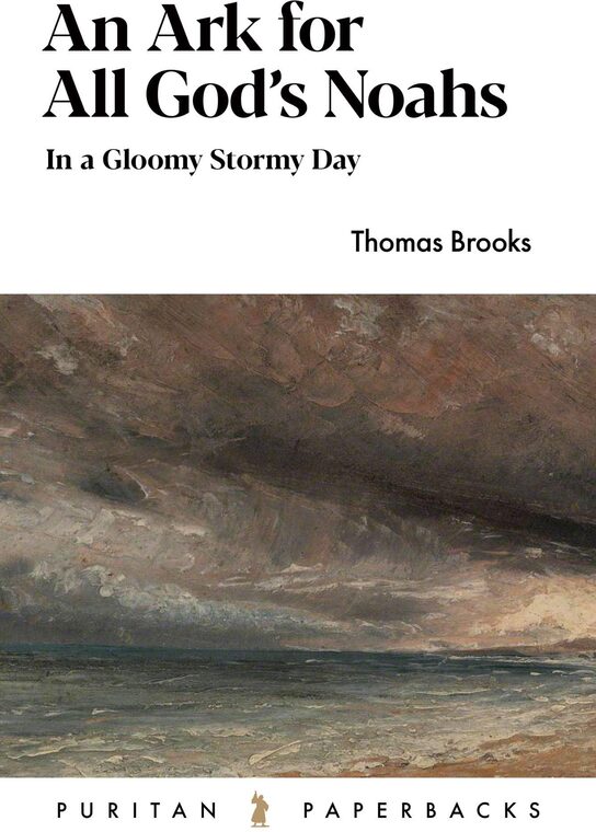Cover of An Ark for All God’s Noahs