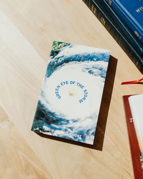 Green Eye of the Storm — Interior page