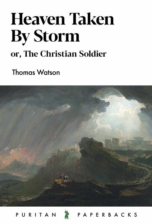 Cover of Heaven Taken By Storm