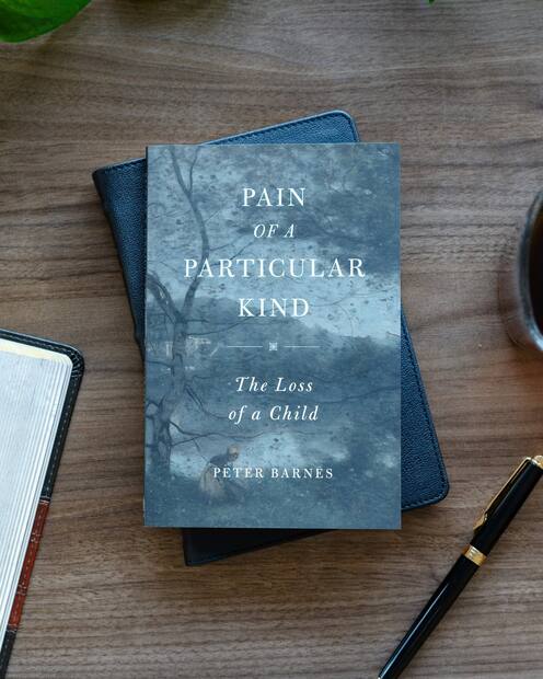 Pain of a Particular Kind — Interior page
