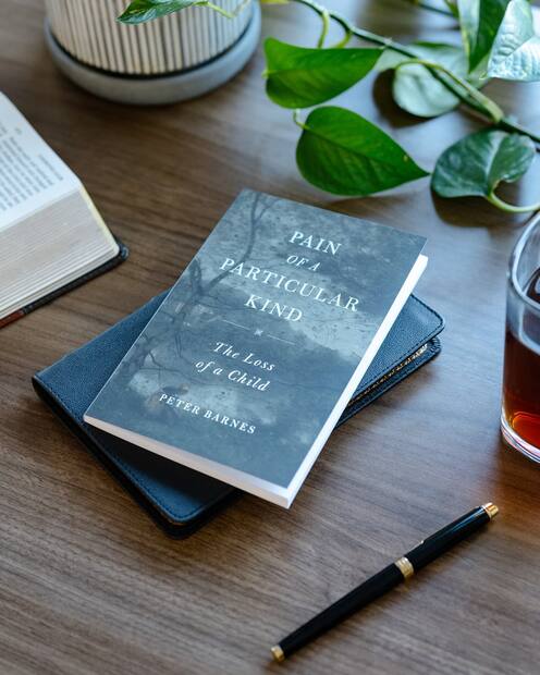 Pain of a Particular Kind — Interior page