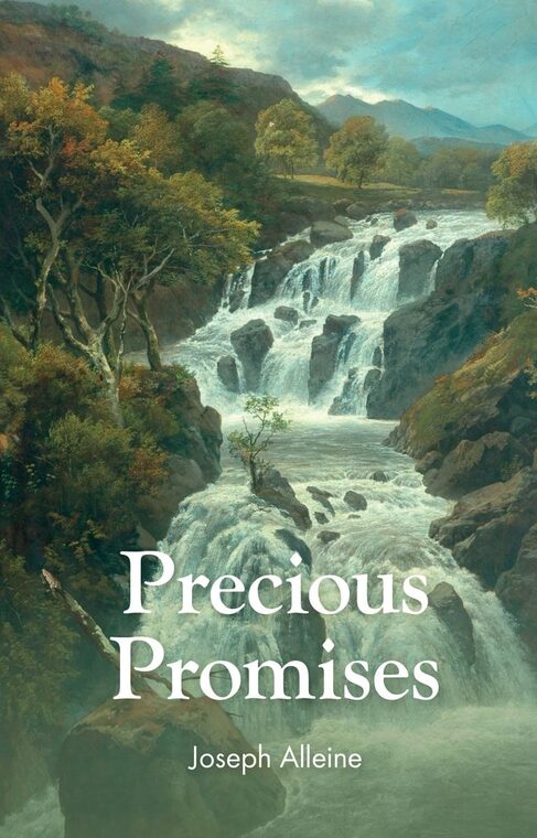 Cover of Precious Promises