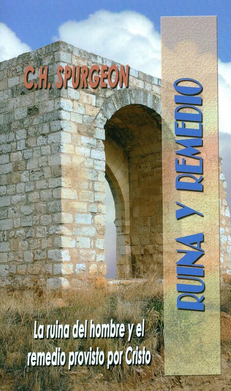 Cover of Ruina y Remedio
