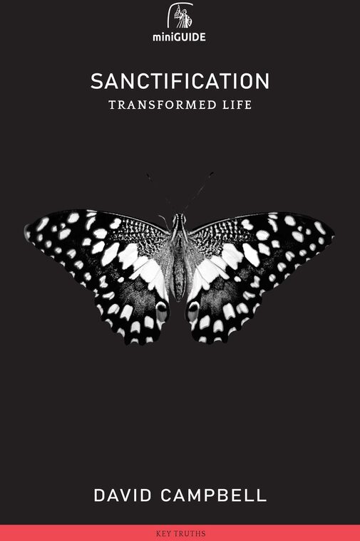 Cover of Sanctification