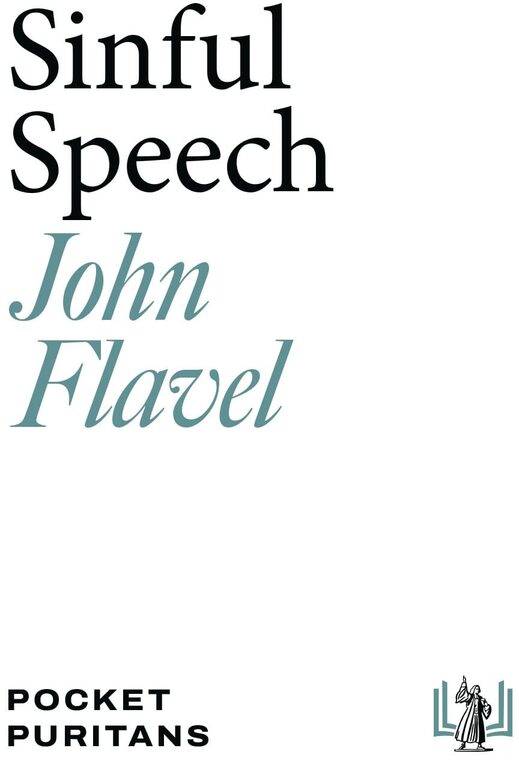 Cover of Sinful Speech