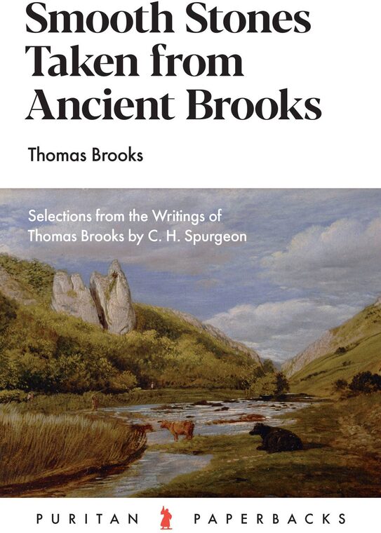Cover of Smooth Stones Taken from Ancient Brooks
