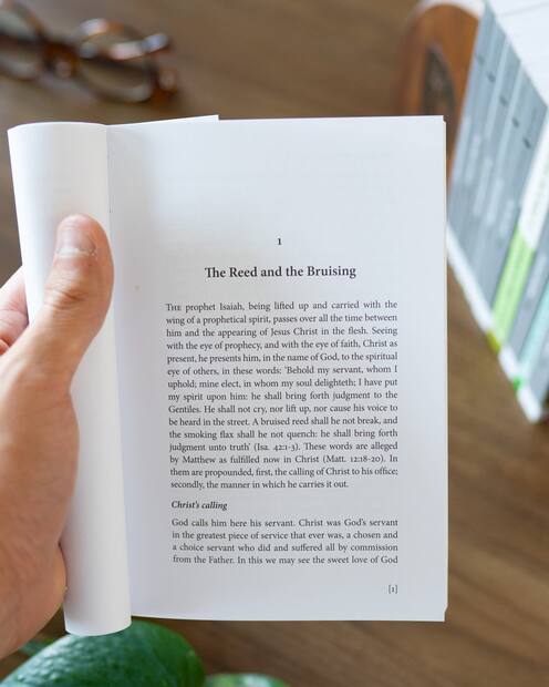 The Bruised Reed — Interior page