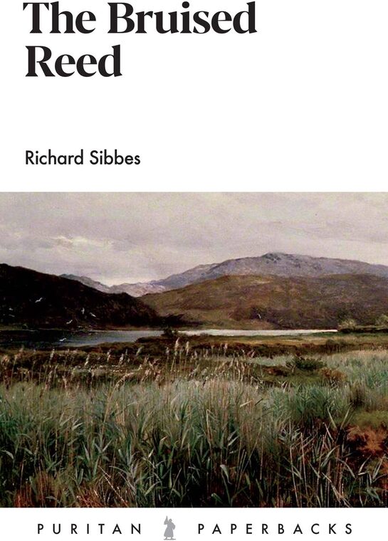Cover of The Bruised Reed