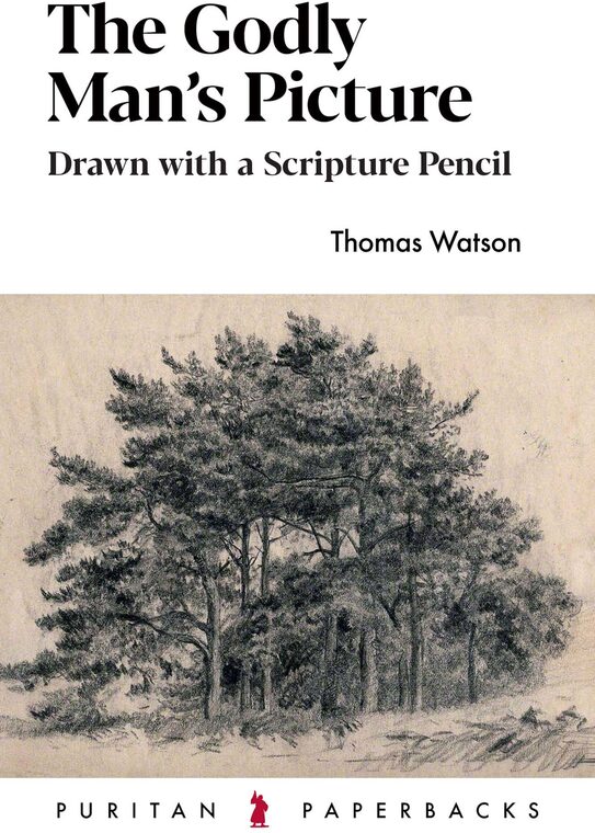Cover of The Godly Man’s Picture
