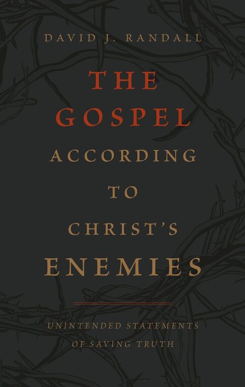 Cover of The Gospel According to Christ’s Enemies
