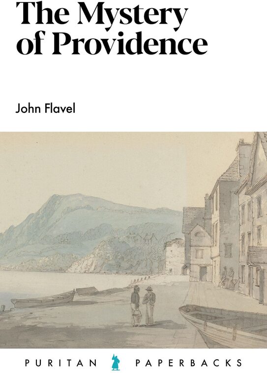 Cover of The Mystery of Providence