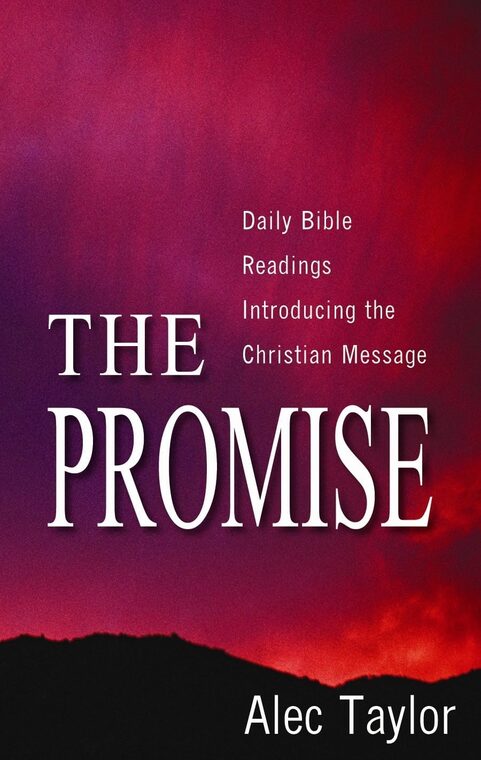 Cover of The Promise