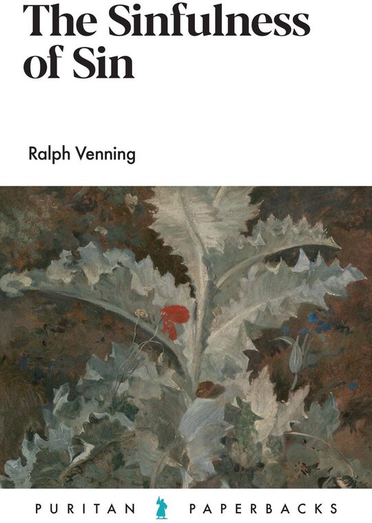 Cover of The Sinfulness of Sin