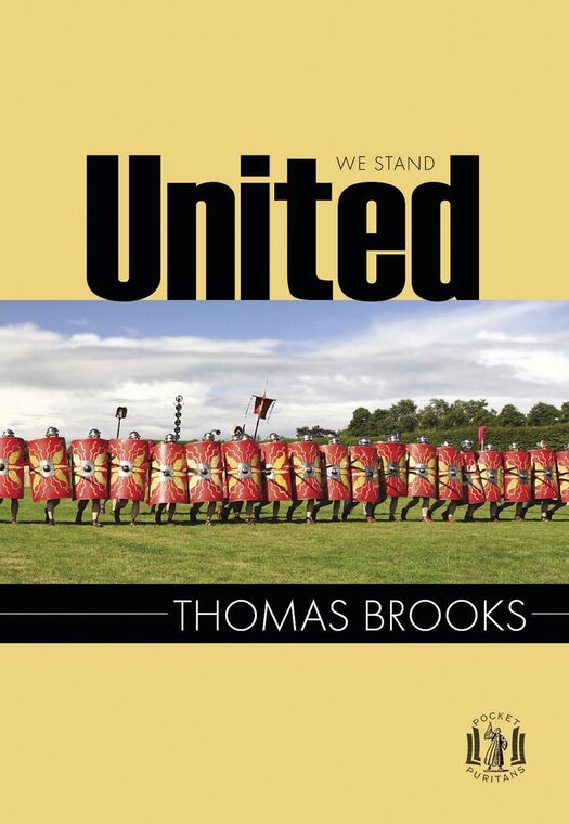 Cover of United We Stand