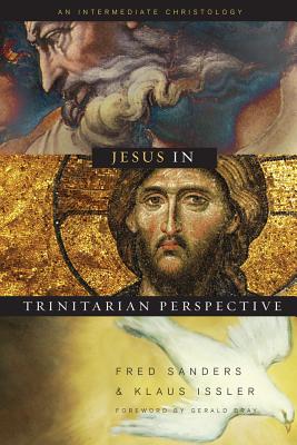 Cover of Jesus in Trinitarian Perspective