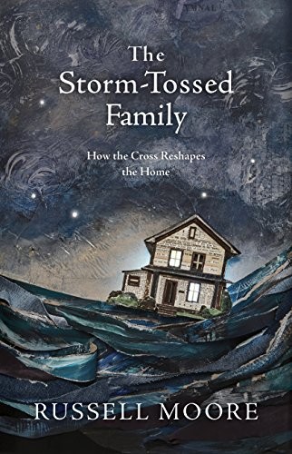 Cover of The Storm-Tossed Family