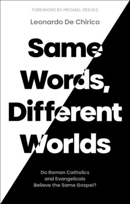 Cover of Same Words, Different Worlds