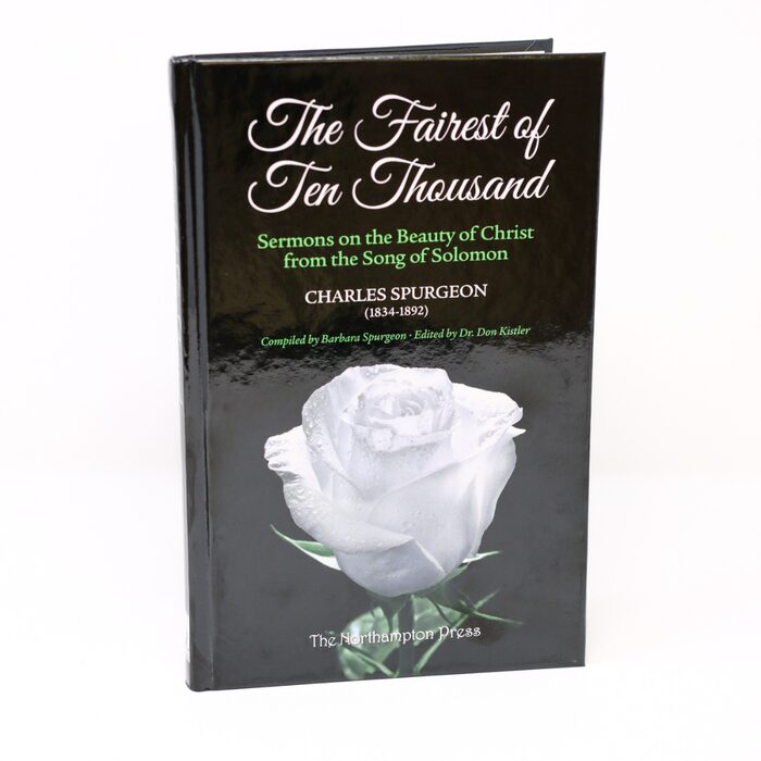 Cover of The Fairest of Ten Thousand