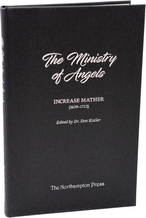 Cover of The Ministry of Angels