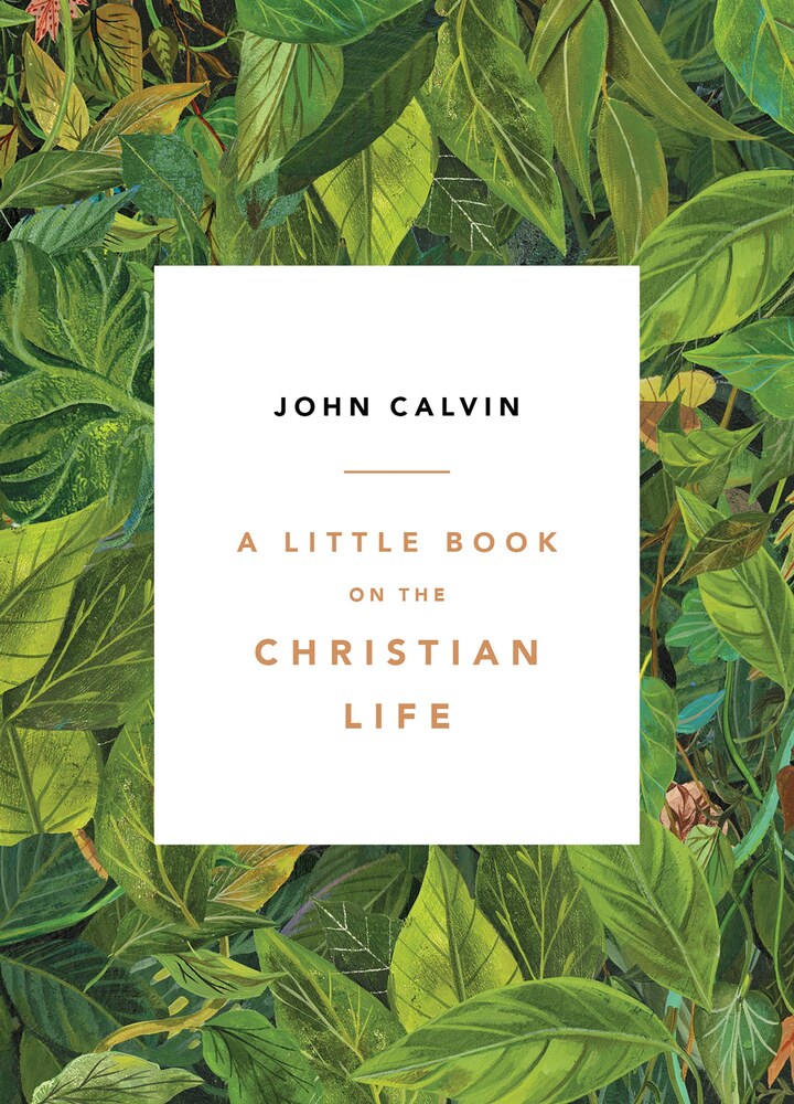 Cover of A Little Book on the Christian Life