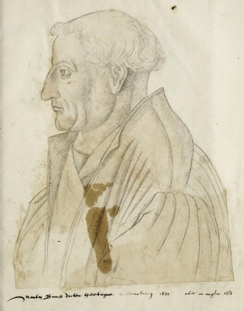 Portrait of Martin Bucer